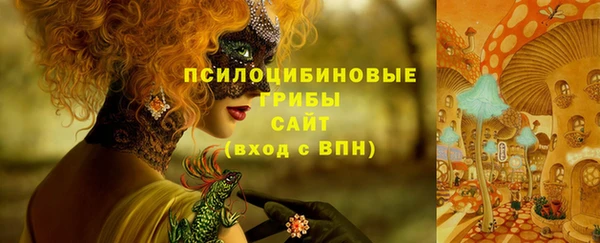 мдма Вяземский