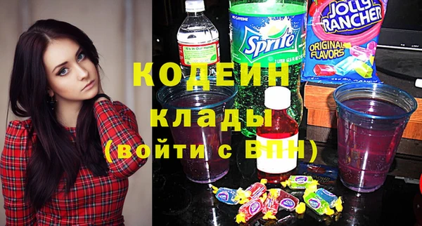 мдпв Горнозаводск