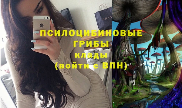 амф Киров