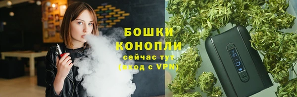 мдпв Горнозаводск